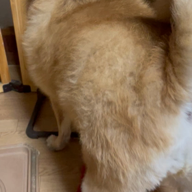 女の子やなーの画像