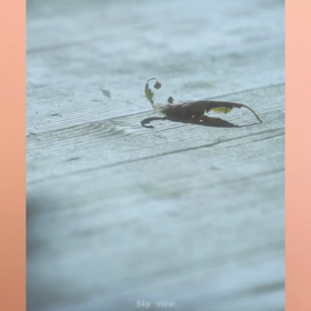 お歌に助けられて、、♡  ＆　92本／100本の画像