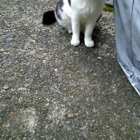 今日はビートルズ記念日の画像