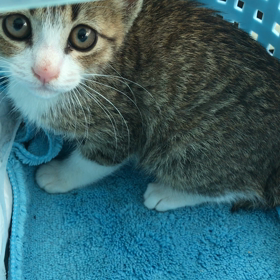 ＊ 番外編 ~動画~の画像