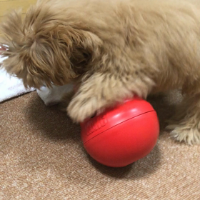 りんの形見の画像