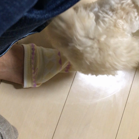 靴下大好き❤︎の画像