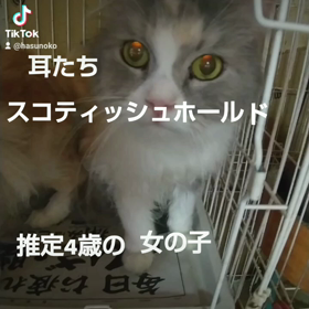 あ～(/_;)/~~重力には勝てないのよの画像