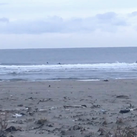 今日のオイラの仕事前の横乗り自撮り動画より、、の画像