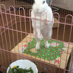 食欲の秋かな？の画像