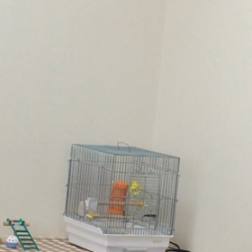 やっと！の画像