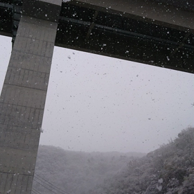 雪ですよ～の画像