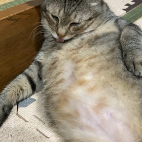 (⌒-⌒; ) お初の出来事ですの画像