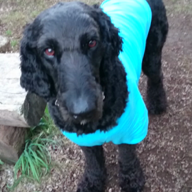 意外と…の画像