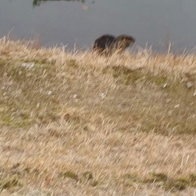 おっ。久しぶり～の画像