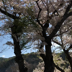 風景動画の画像