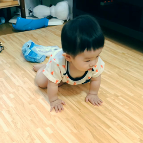 はいはい記念日の画像