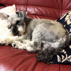 GWの過ごし方も、昔とは変わってきた…の画像