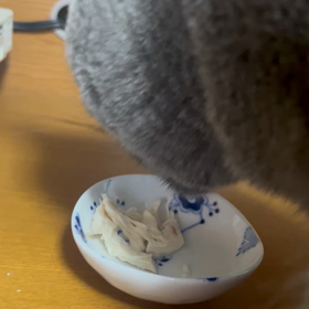 ササミを食すの画像