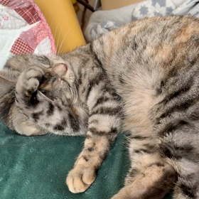 入念にお手入れの画像