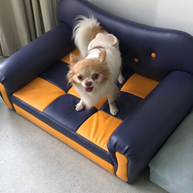 ♪プレイルーム動画♪②の画像