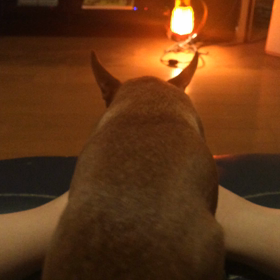 クローリーの大好物♡の画像