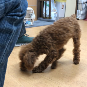 将来有望。の画像