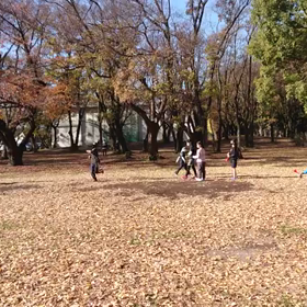 ジャベリック(記録会)⑤の画像