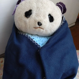 今日のパンダさんの画像