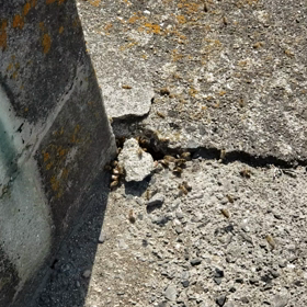 こんなところにの画像