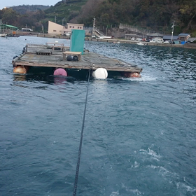 立目沖筏営業開始しますの画像