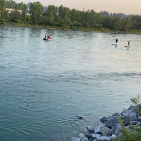 ジルバになったらいいじゃないの画像