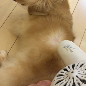 疲れた日とビューディアの画像