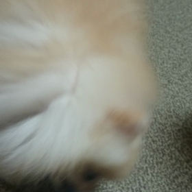 まだまだ子供の画像