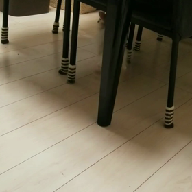 *プロレスごっこ*の画像