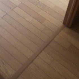 犯人は誰だ！ニャンズのおしっこ事件。の画像