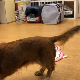 チェリー編。の画像