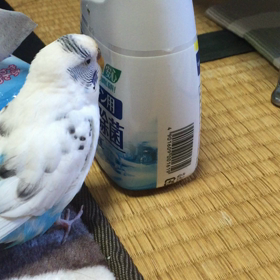 いい顔したの画像