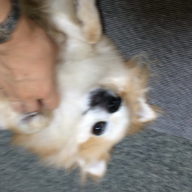 私、幸せ者の画像