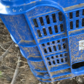 2023/05/16 内見の画像