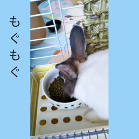 食べてる姿の画像