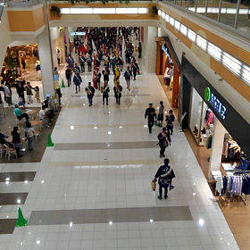 エマ遊んでるからいいかなと思ってムービー撮ってたらの画像