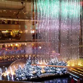 キャナルのイルミ。の画像