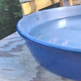 すぎぴたんの事件簿シーズン3　269話（ご出勤！ヤモリ）の画像