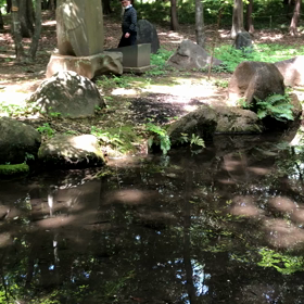 水音と小鳥の囀りの画像