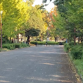 記録会 女子Dグループ②の画像