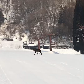 聖地の神の画像