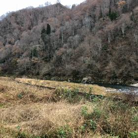 HC85試運転、飛騨の画像