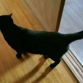 今日は国際協力の日の画像