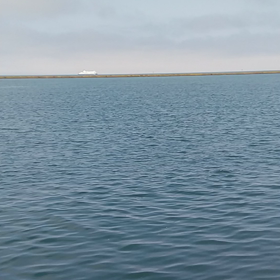 十数年ぶりの釣りの画像