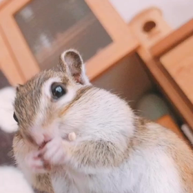 食いしん坊は気にしない♪  の画像