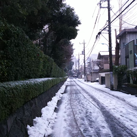 杉並の出勤時の大田黒公園で積雪約３センチです、寒いですね。充分気を付けて下さいね。の画像