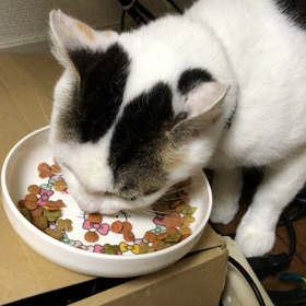 三咲さんのお上品な食事の仕方の画像