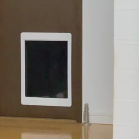 クロちゃん♀、ついに猫ドア使えました。の画像