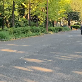 記録会 女子Cグループ②の画像